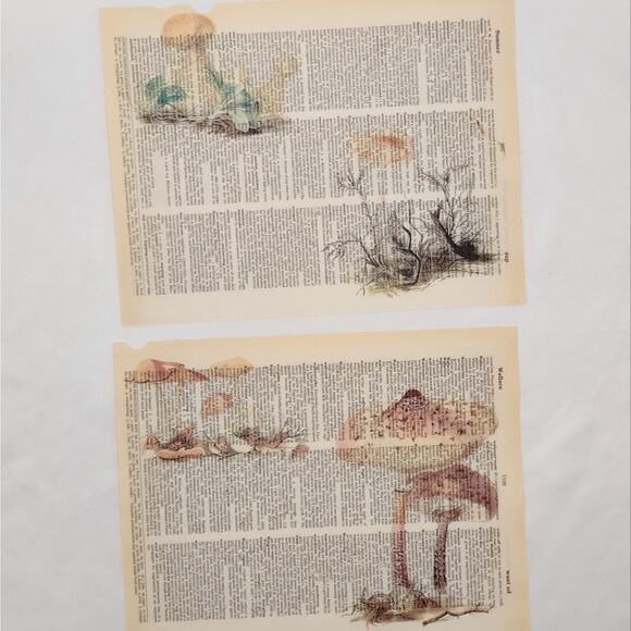 Mushroom Dictionary Prints, Colorful Mushroom Prints, Book Page Prints - Picture 2 of 6